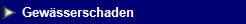 NetObjects Web Design Placeholder