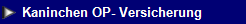 NetObjects Web Design Placeholder