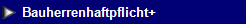 NetObjects Web Design Placeholder