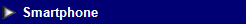 NetObjects Web Design Placeholder