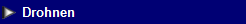 NetObjects Web Design Placeholder