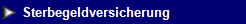 NetObjects Web Design Placeholder