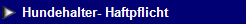 NetObjects Web Design Placeholder