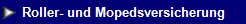NetObjects Web Design Placeholder