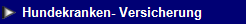NetObjects Web Design Placeholder