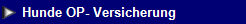 NetObjects Web Design Placeholder