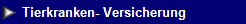 NetObjects Web Design Placeholder