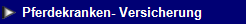 NetObjects Web Design Placeholder