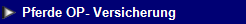 NetObjects Web Design Placeholder