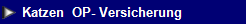NetObjects Web Design Placeholder
